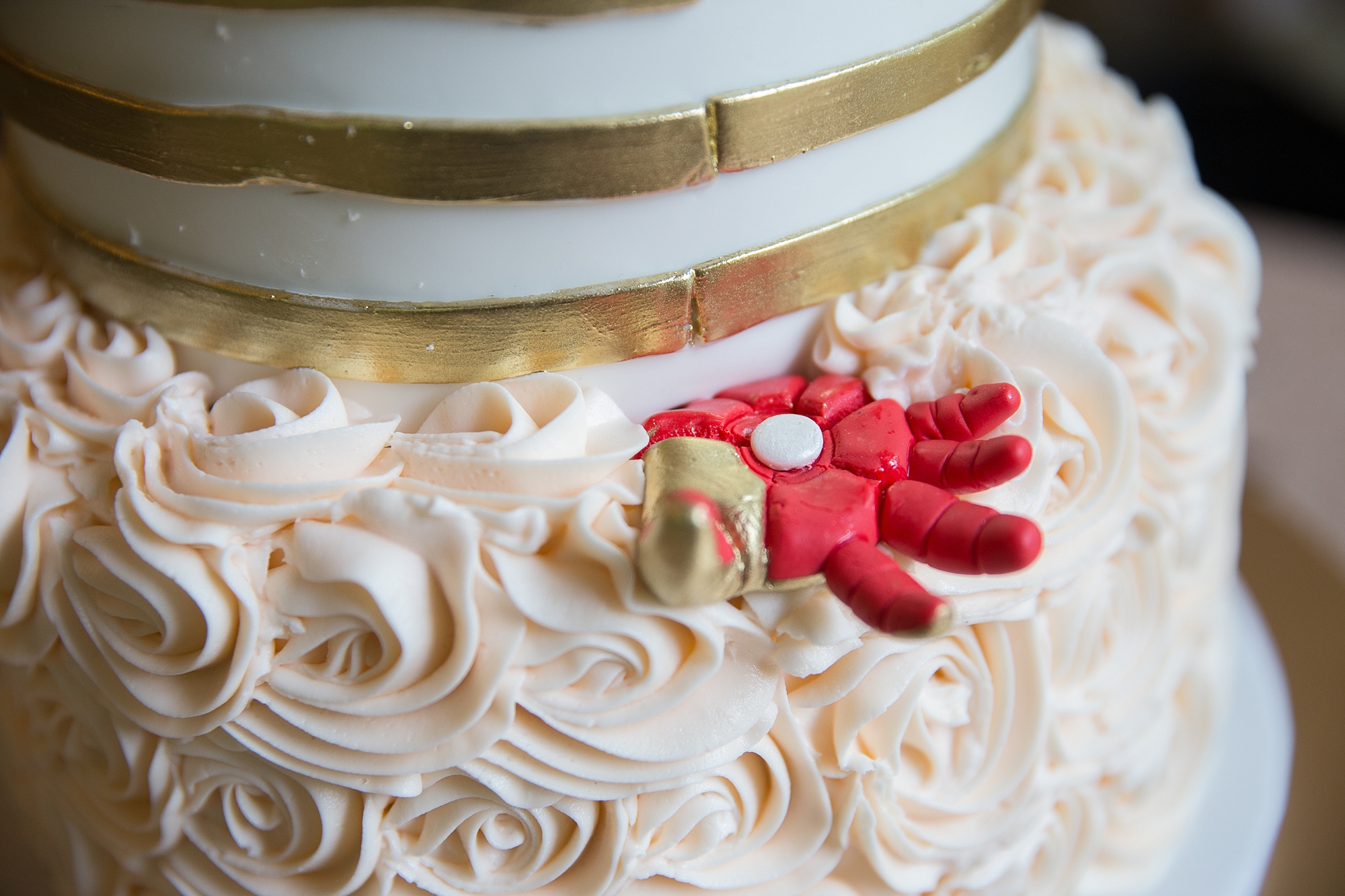 The Homestead Resort Wedding Photography