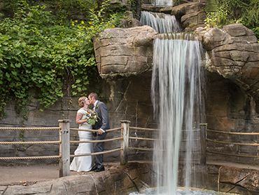 Elise & Chris under the waterfall at the John Ball Zoo on their Wedding Day